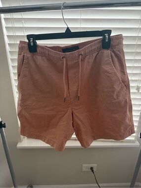 American Eagle Dusty Salmon Pull-On Shorts